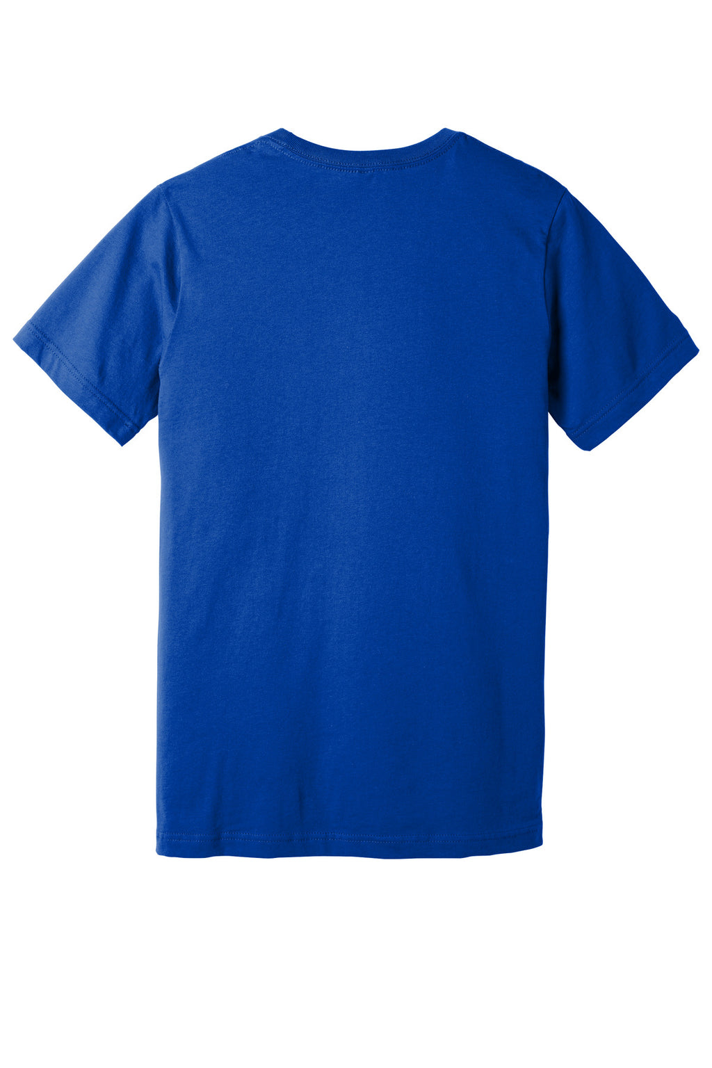 Rear View of True Royal BELLA+CANVAS Unisex Jersey Short Sleeve V-Neck Tee. BC3005